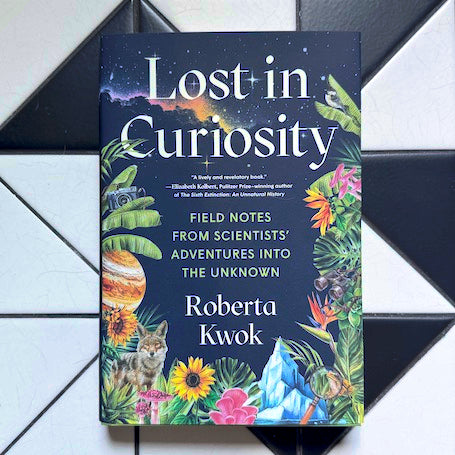 Lost in Curiosity